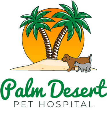 Best Vet Hospital In Palm Desert, CA