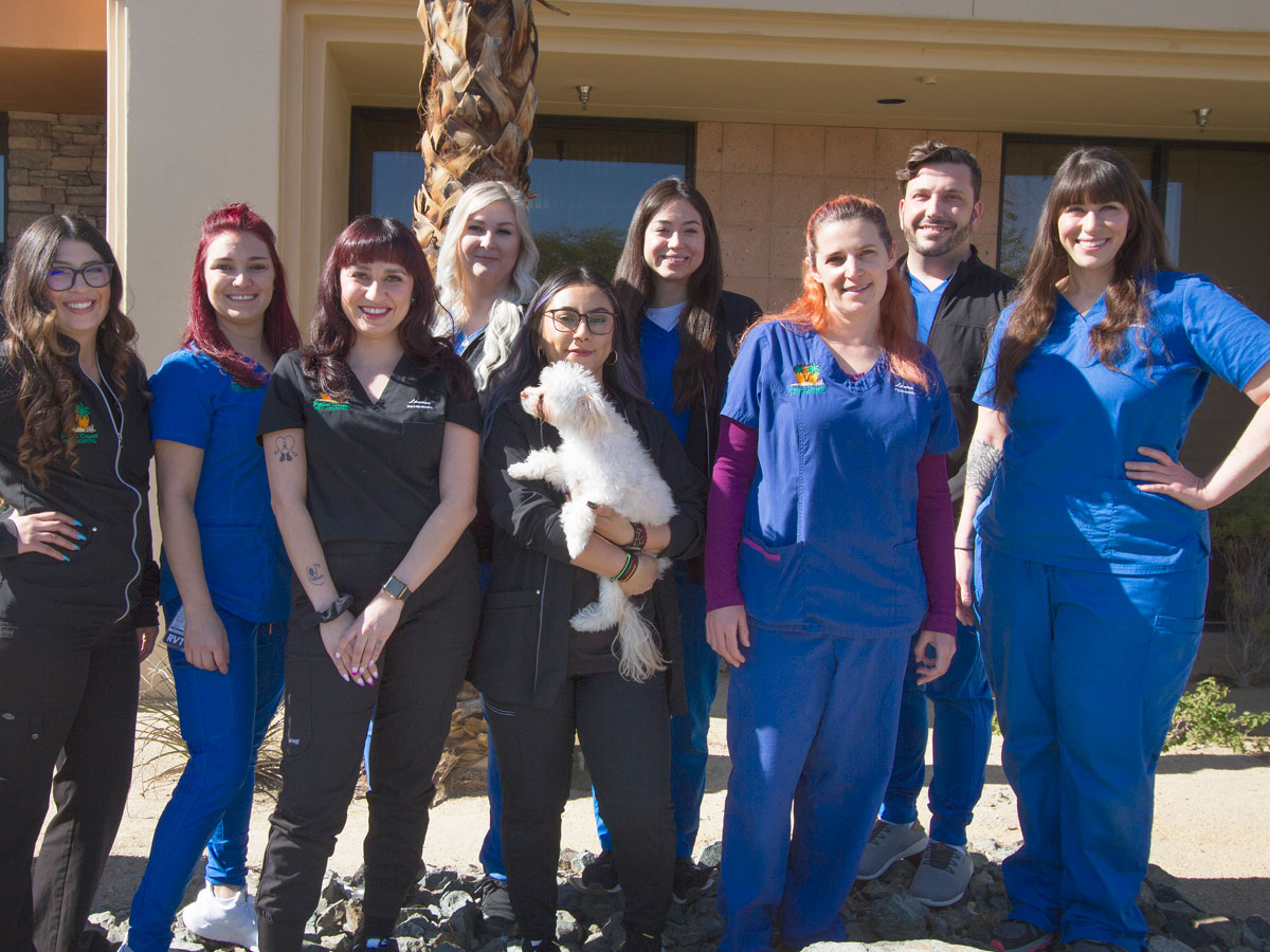 Best Vet Hospital In Palm Desert, CA