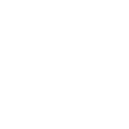 5211469_coin_credit_finance_money_payment_icon-1-1-1-1 rabbit in the outdoors