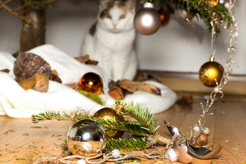 cat by christmas tree